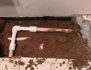 大兴安岭测漏水哪家好